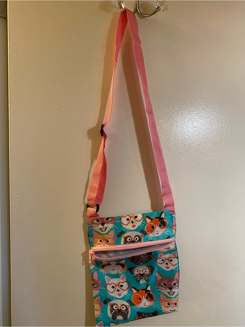 Cat Print Crossbody Bag - Pink Strap, Teal Background